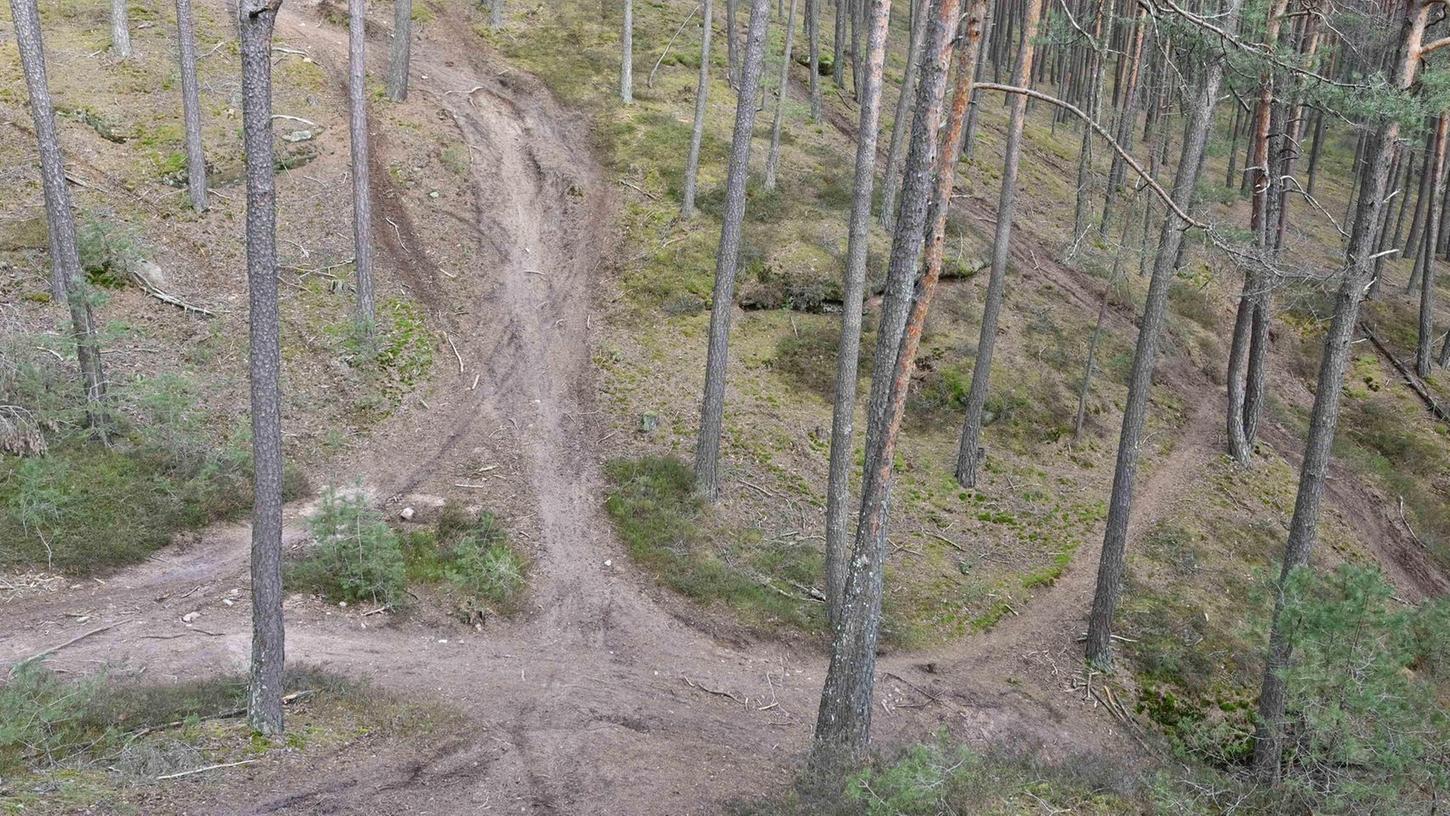 Unruhe im Forst: Mountainbiker setzen Wild und Wald zu