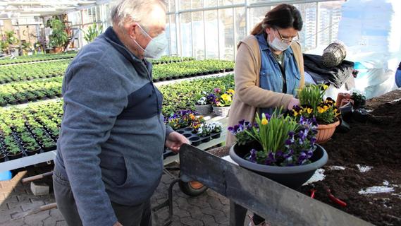 Gärtnereien wieder geöffnet: Viele Frühlingsboten warten auf Abholung