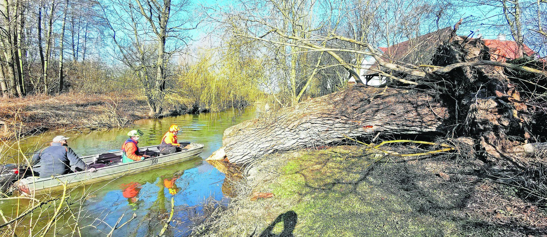 Weide Altmühl Bubenheim