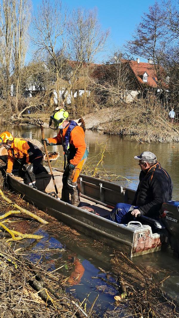 Eine der alten Weiden im Treuchtlinger Ortsteil Bubenheim hat im Februar unter der Schneelast nachgegeben und ist quer über den Fluss gestürzt. Nun machten sich Stadtbauhof, Wasserwirtschaftsamt und Bürger gemeinsam ans Aufräumen.
