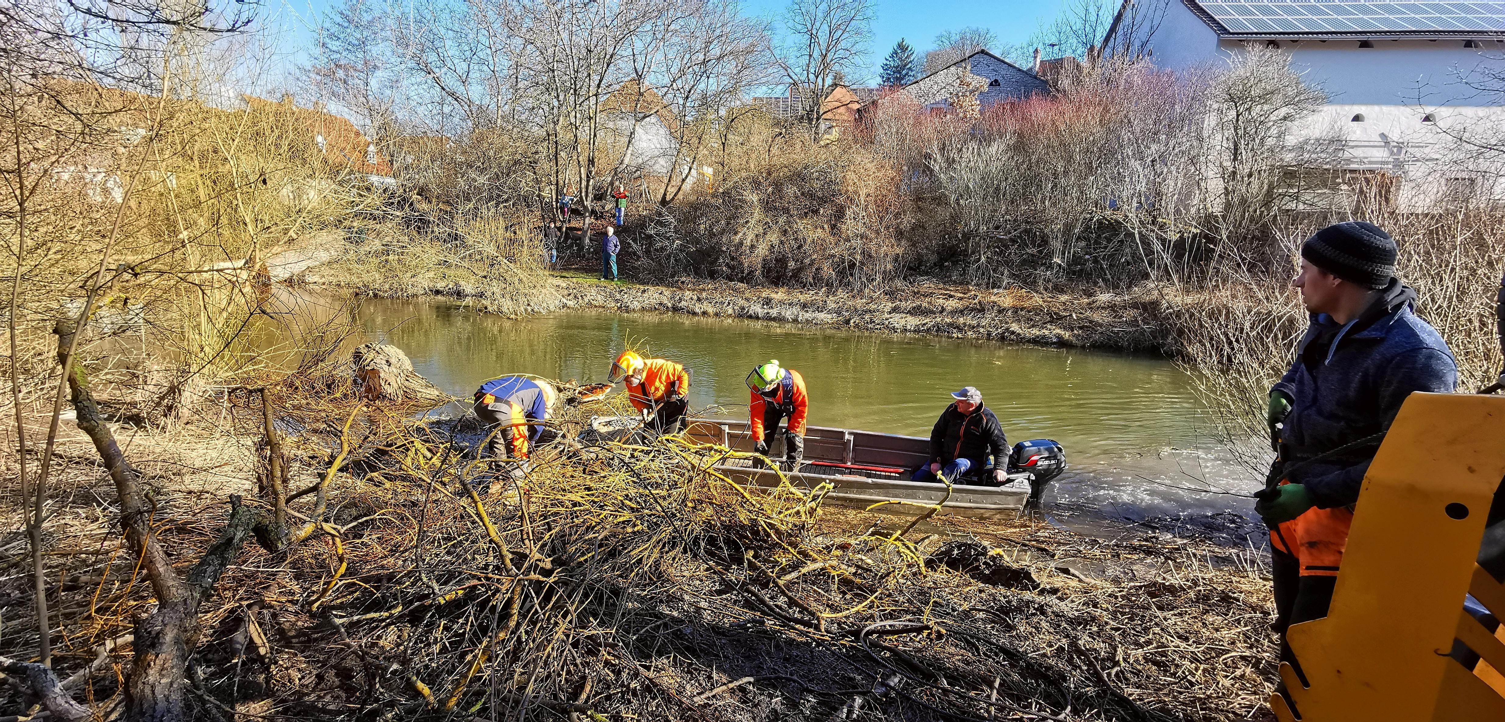Eine der alten Weiden im Treuchtlinger Ortsteil Bubenheim hat im Februar unter der Schneelast nachgegeben und ist quer über den Fluss gestürzt. Nun machten sich Stadtbauhof, Wasserwirtschaftsamt und Bürger gemeinsam ans Aufräumen.