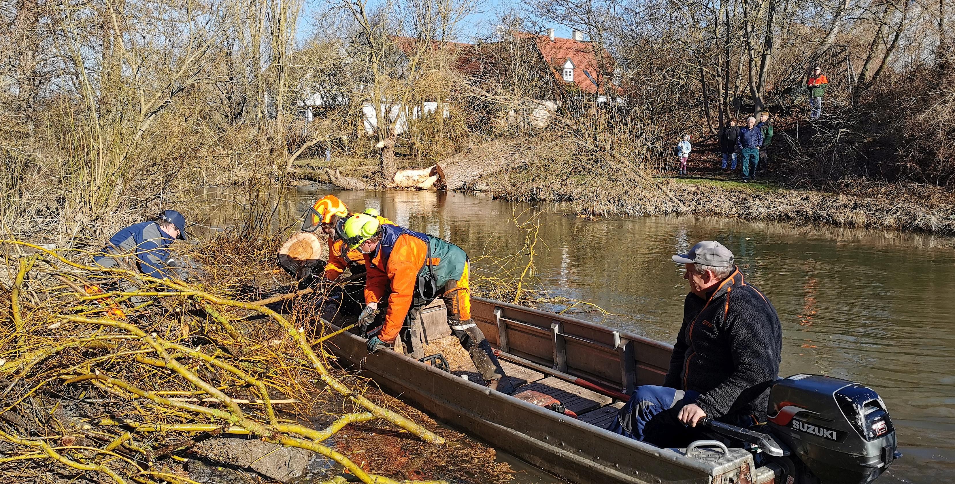 Eine der alten Weiden im Treuchtlinger Ortsteil Bubenheim hat im Februar unter der Schneelast nachgegeben und ist quer über den Fluss gestürzt. Nun machten sich Stadtbauhof, Wasserwirtschaftsamt und Bürger gemeinsam ans Aufräumen.