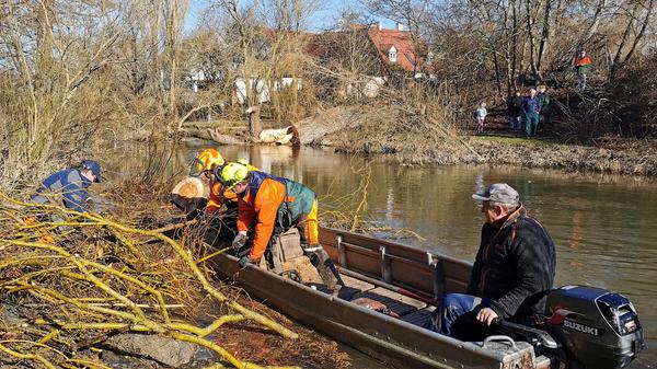 Eine der alten Weiden im Treuchtlinger Ortsteil Bubenheim hat im Februar unter der Schneelast nachgegeben und ist quer über den Fluss gestürzt. Nun machten sich Stadtbauhof, Wasserwirtschaftsamt und Bürger gemeinsam ans Aufräumen.