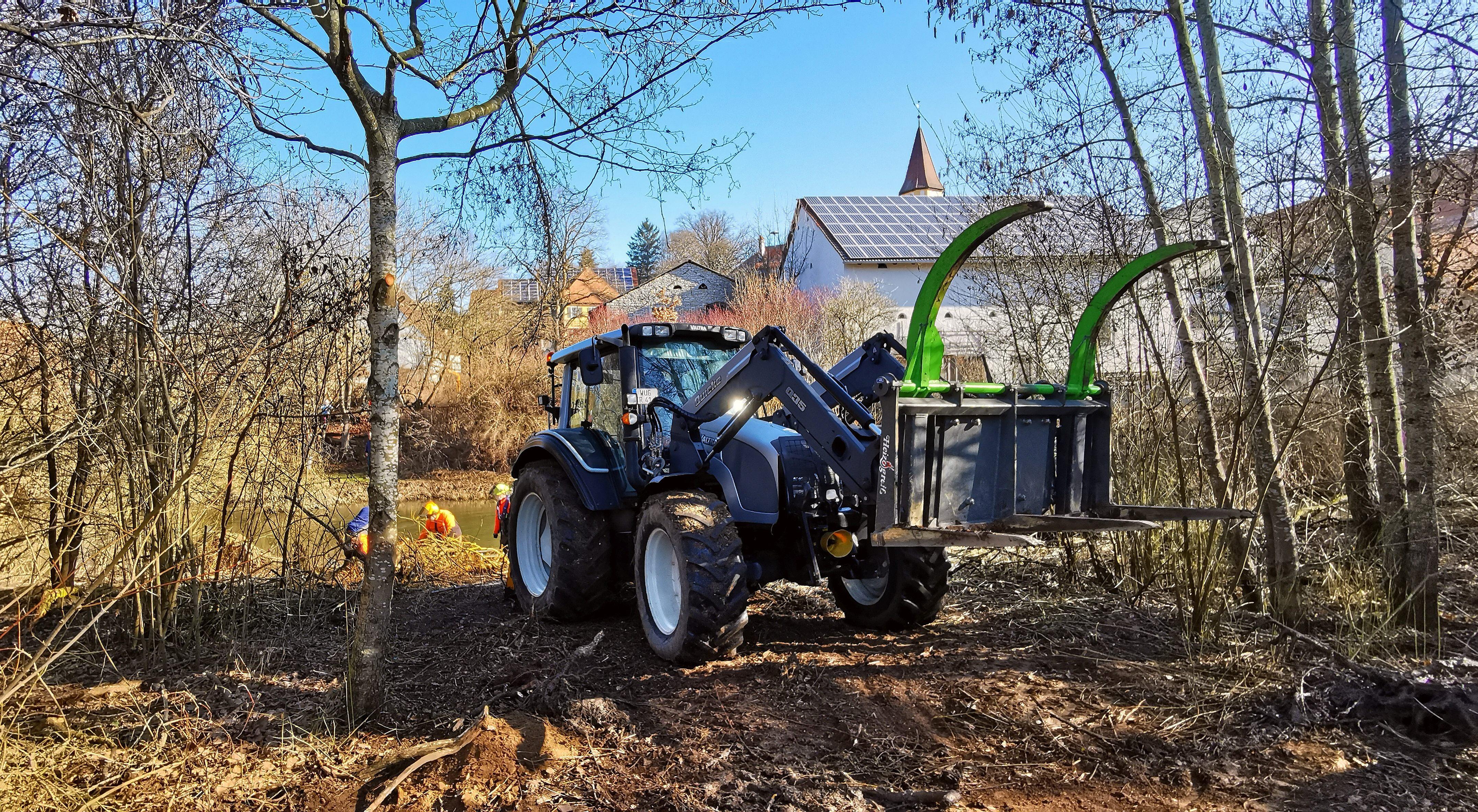 Eine der alten Weiden im Treuchtlinger Ortsteil Bubenheim hat im Februar unter der Schneelast nachgegeben und ist quer über den Fluss gestürzt. Nun machten sich Stadtbauhof, Wasserwirtschaftsamt und Bürger gemeinsam ans Aufräumen.