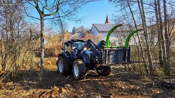 Eine der alten Weiden im Treuchtlinger Ortsteil Bubenheim hat im Februar unter der Schneelast nachgegeben und ist quer über den Fluss gestürzt. Nun machten sich Stadtbauhof, Wasserwirtschaftsamt und Bürger gemeinsam ans Aufräumen.