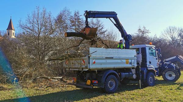 Eine der alten Weiden im Treuchtlinger Ortsteil Bubenheim hat im Februar unter der Schneelast nachgegeben und ist quer über den Fluss gestürzt. Nun machten sich Stadtbauhof, Wasserwirtschaftsamt und Bürger gemeinsam ans Aufräumen.