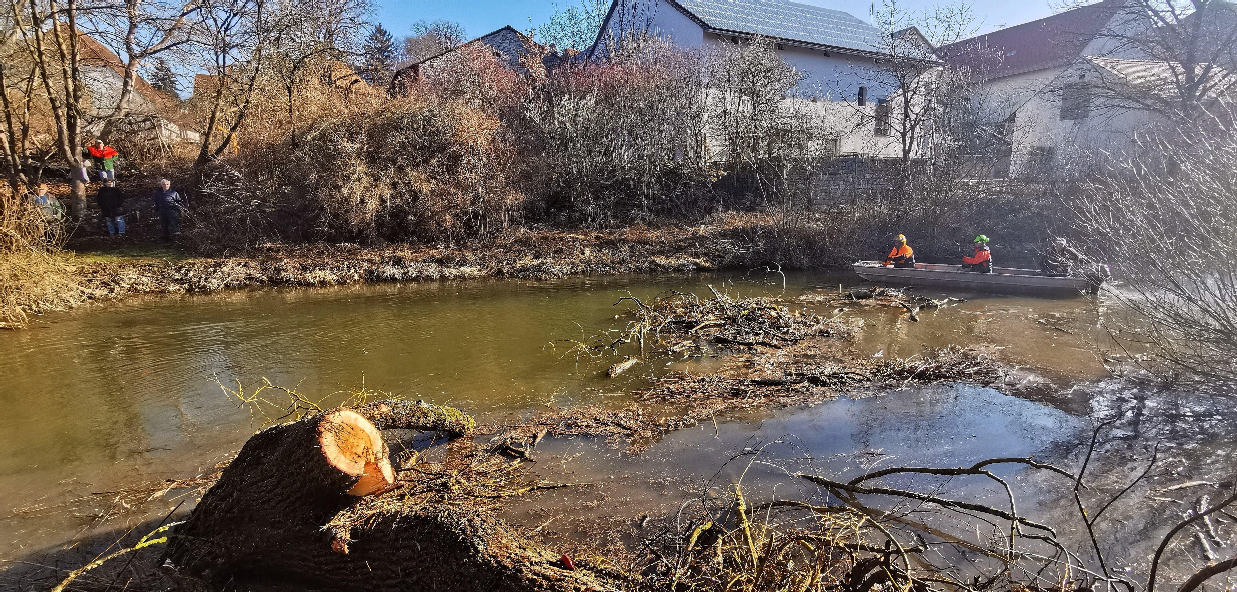 Eine der alten Weiden im Treuchtlinger Ortsteil Bubenheim hat im Februar unter der Schneelast nachgegeben und ist quer über den Fluss gestürzt. Nun machten sich Stadtbauhof, Wasserwirtschaftsamt und Bürger gemeinsam ans Aufräumen.
