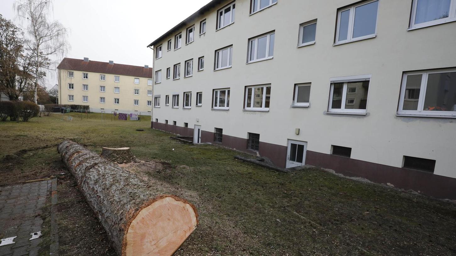 Fünf Bäume weniger und zwei neue Gebäude in Forchheim