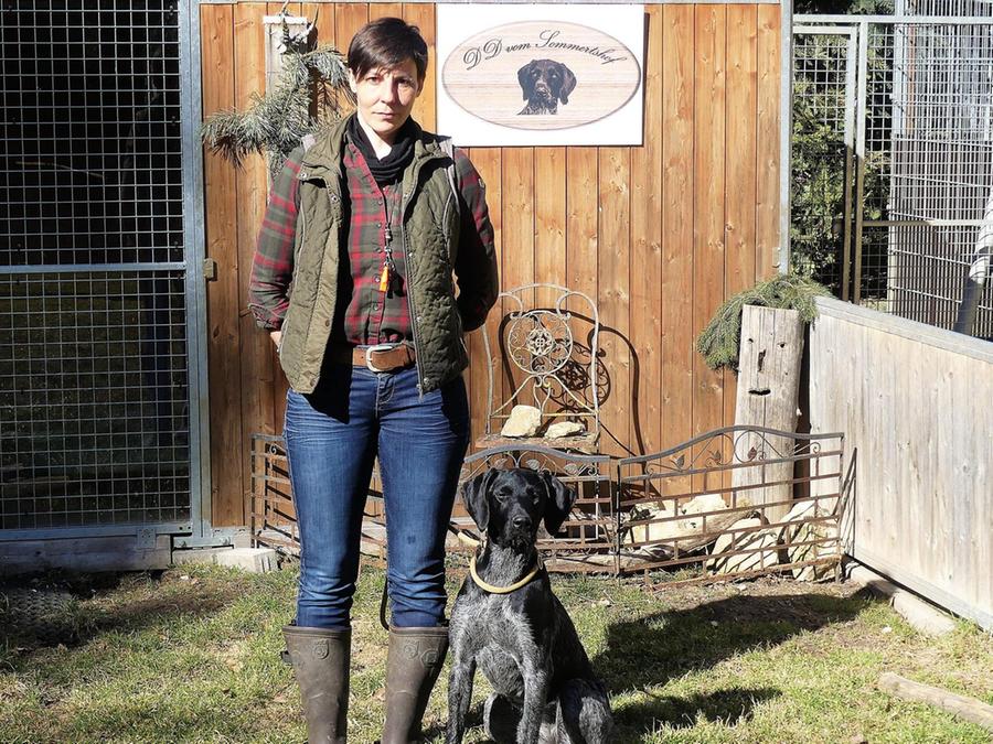 mehr problem hunde nach dem lockdown breitenbrunn nordbayern de