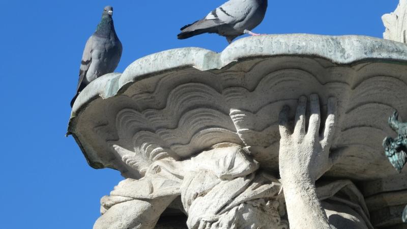Tauben auf dem Paulibrunnen in Erlangen. 