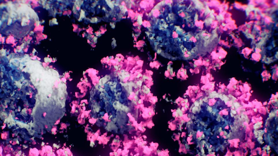 Diese 3D-Abbilung zeigt Sars-CoV-2-Viren aus schockgefrorenen Proben. Deutlich sichtbar: Das rosa eingefärbte Spike-Protein, mit dem sich der Erreger an menschliche Zellen andockt.