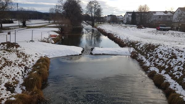 Ein schöner Anblick auch bei Schnee und Eis.