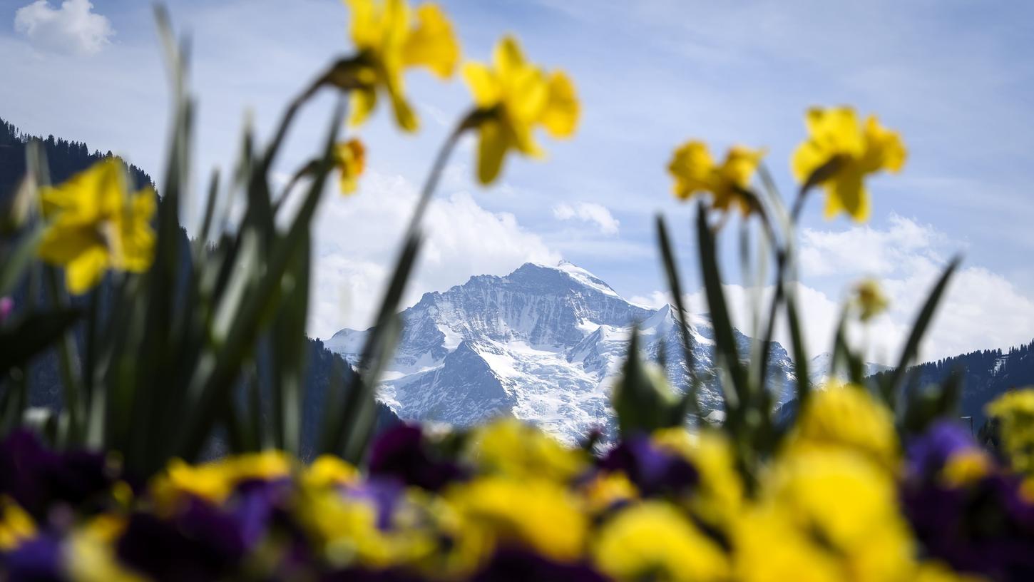Frühling in den Bergen - es ist noch unklar, ob wir das schon in den Osterferien erleben dürfen.