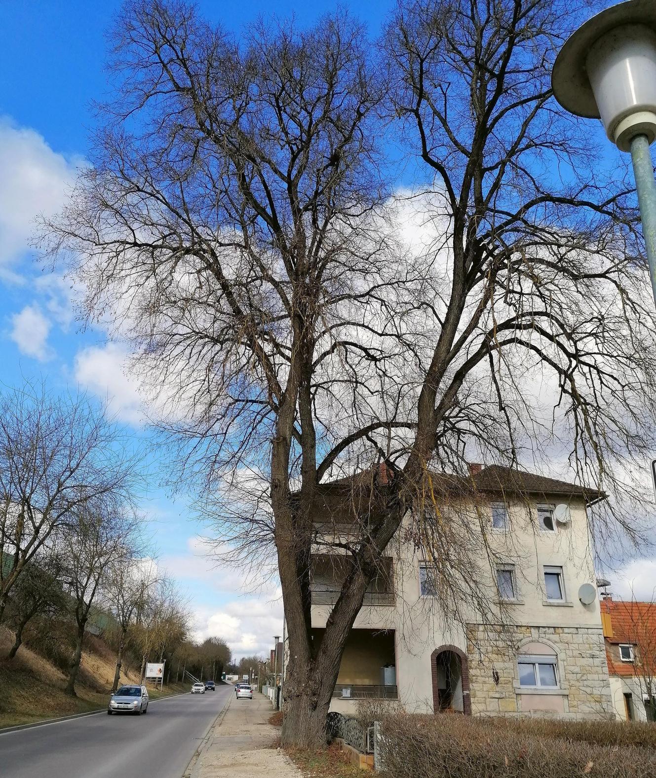 Linde Augsburger Straße Treuchtlingen