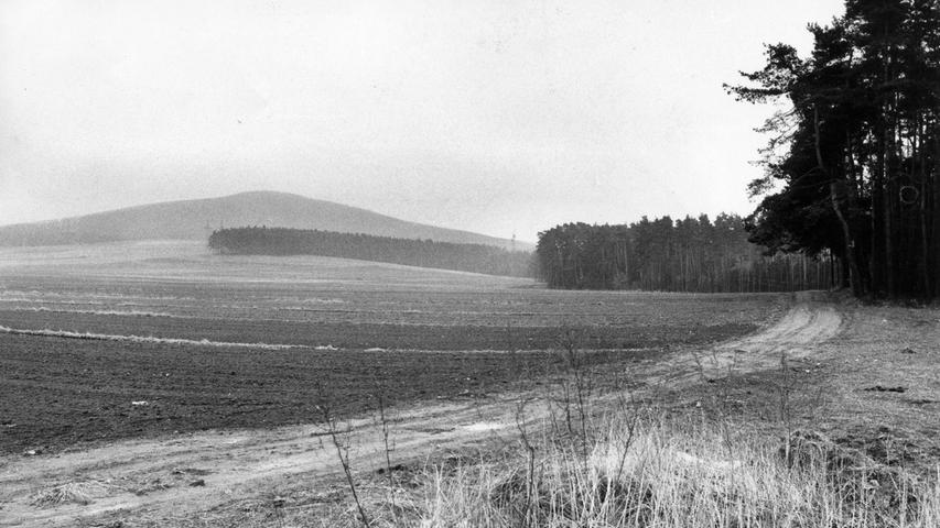 Am Fuße des Moritzberges – unser Bild zeigt den Aussichtsturm – soll die Erdgaskonditionierungsanlage entstehen. Hier geht es zum Kalenderblatt vom 16. März 1971: Wanderer kämpfen um den Moritzberg