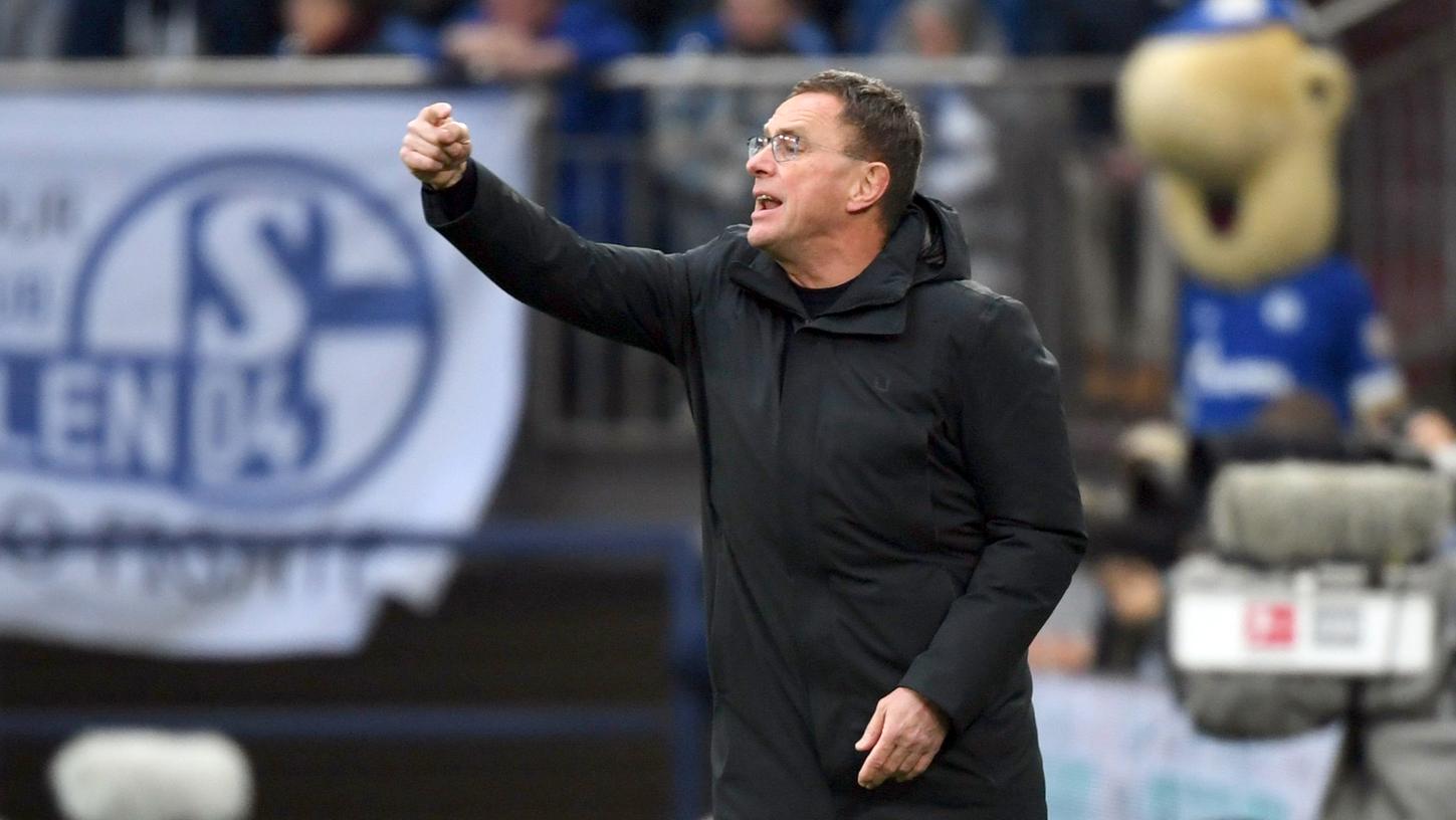 Sport-Boss auf Schalke? Rangnick soll im Revier helfen 