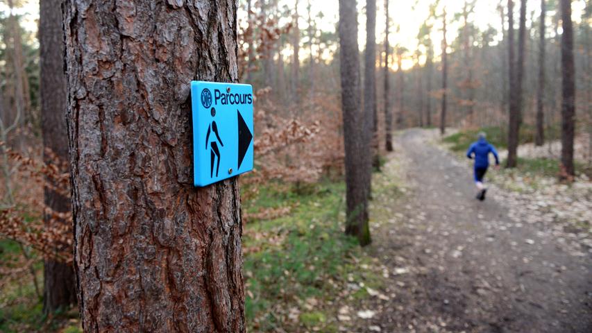Im Fürther Stadtwald gibt es einen zwei Kilometer langen Trimm-Dich-Pfad, der mittlerweile Vitaparcours heißt. Foto: Hans-Joachim Winckler