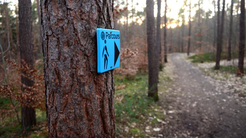 Hinweisschilder lotsen den Jogger durch den Stadtwald. Foto: Hans-Joachim Winckler
