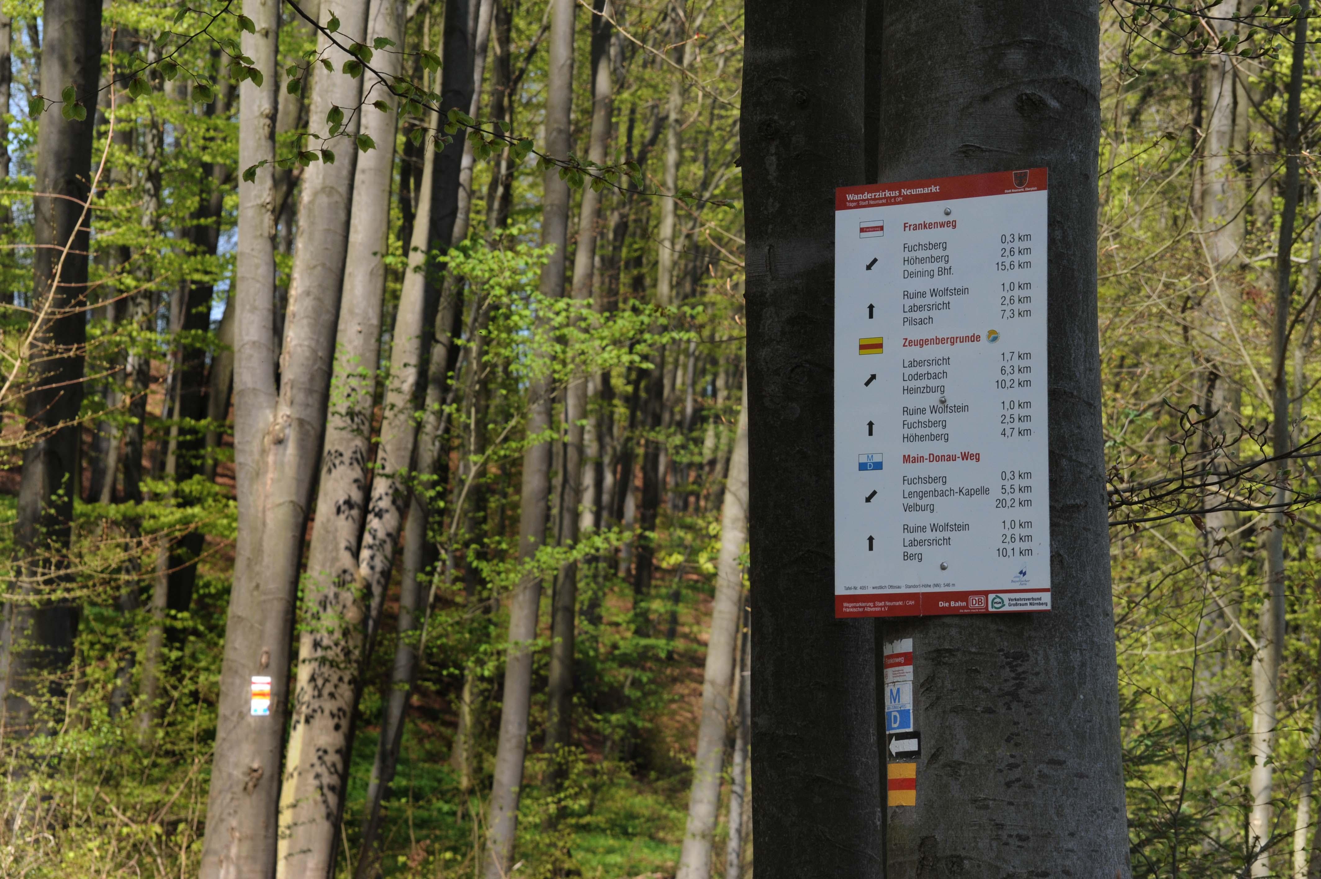 Exzellent sieht es mit den Wanderwegen rund um Neumarkt aus.