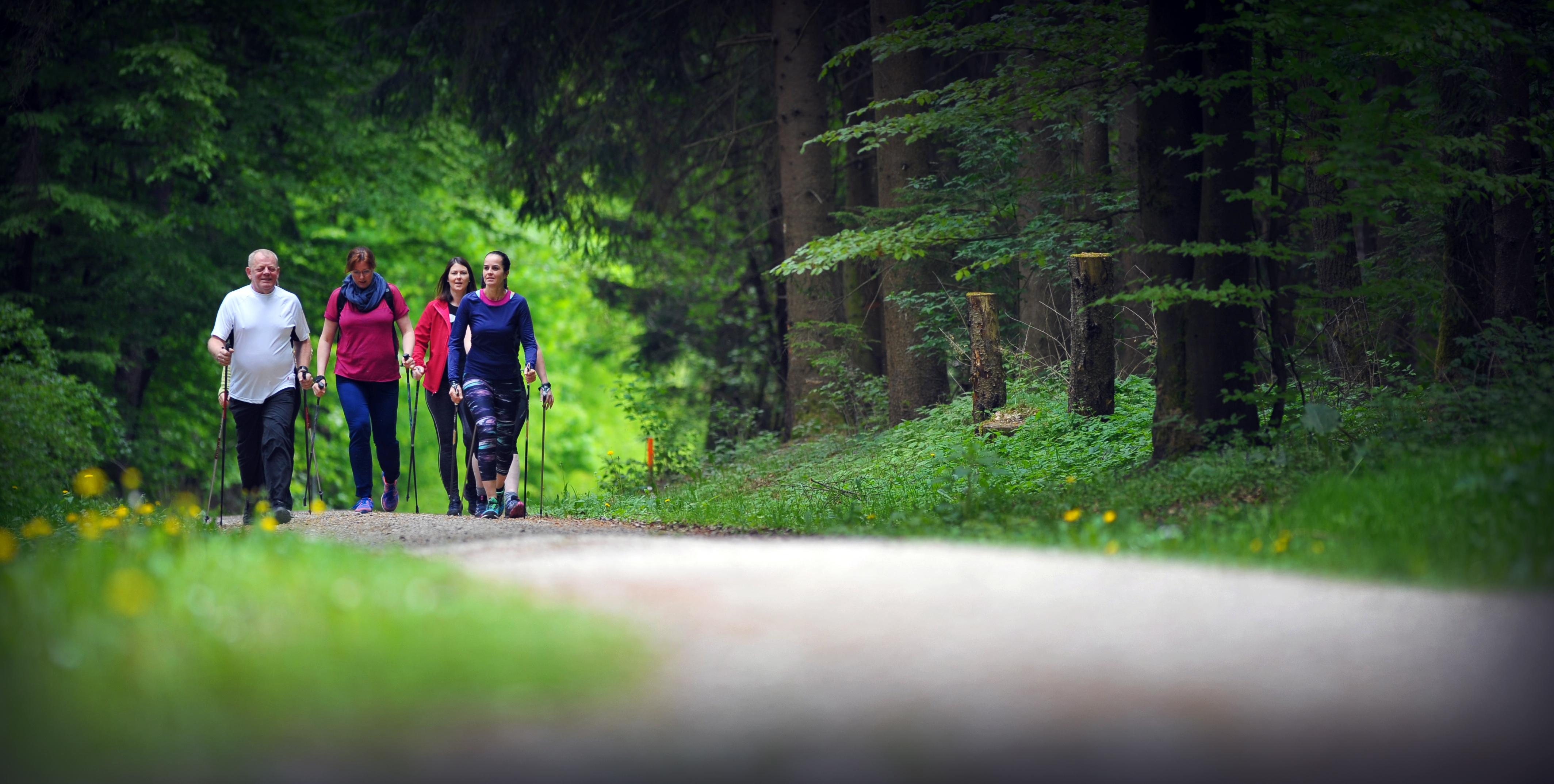 Auch Walker finden zahlreiche attraktive Strecken.