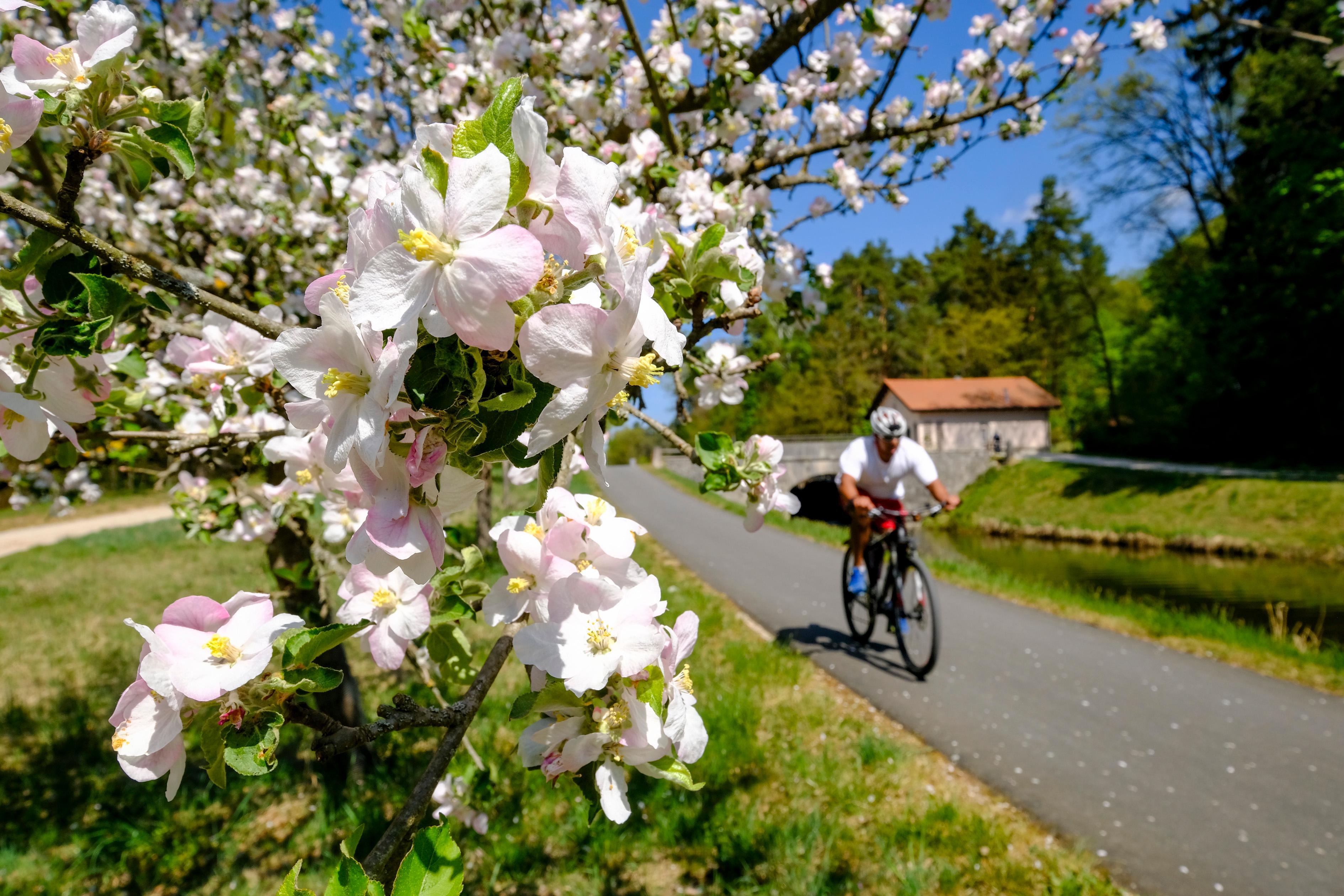 An Radwegen herrscht in Neumarkt und Umgebung ebenfalls kein Mangel.