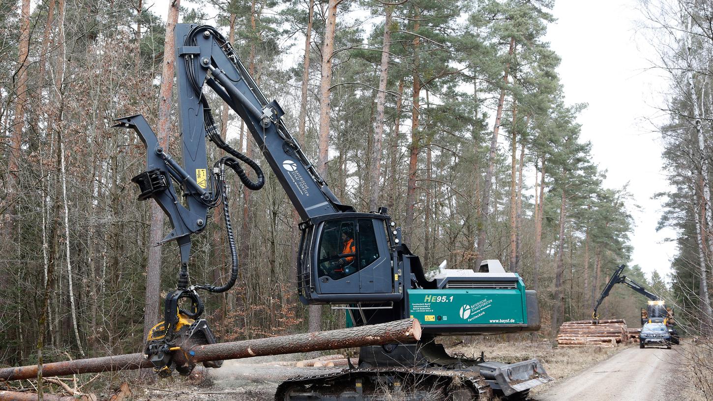 Ein Baggerharvester schafft derzeit im Reichswald bei Zabo Platz für junge Bäume. Ein Baggerharvester schafft derzeit im Reichswald bei Zabo Platz für junge Bäume.