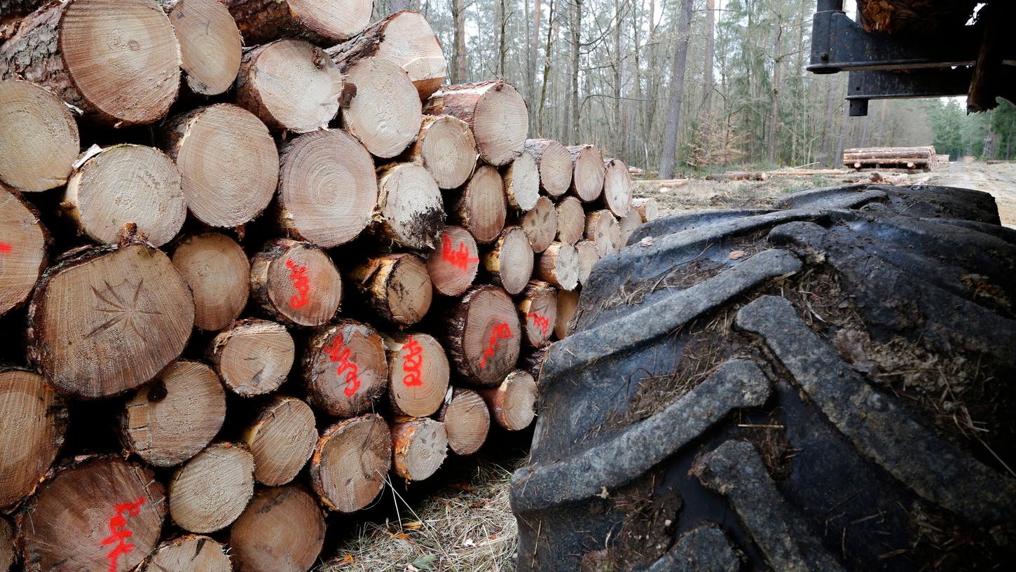 Forstarbeiten in den Wäldern um Nürnberg sorgen für derzeit für Verunsicherung in der Bevölkerung