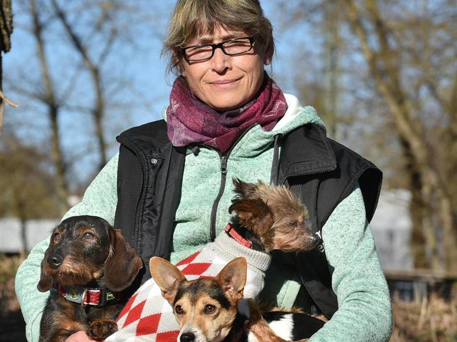tierheim erlangen was passiert mit den tieren nach corona erlangen nordbayern de