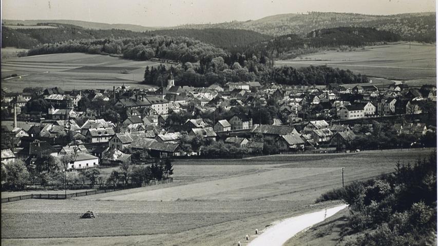 Blick vom Patrich/Hahnenkammstraße auf das mit vielen Jurahaus-Dächern durchsetzte Treuchtlingen Anfang/Mitte des vorigen Jahrhunderts