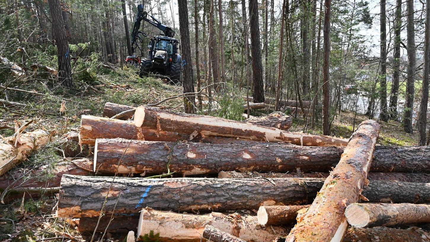 Bubenreuth: Bäume mussten gefällt werden