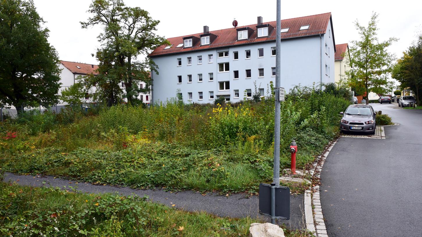 Oberhalb des kleinen Fußwegs will die WBG an der Plauener Straße bauen. Würde das Areal unterhalb davon – die ökologische Ausgleichsfläche, die ebenfalls der Stadt gehört – bei dem Vorhaben mit einberechnet, wäre das Problem mit der GRZ gelöst. Oberhalb des kleinen Fußwegs will die WBG an der Plauener Straße bauen. Würde das Areal unterhalb davon – die ökologische Ausgleichsfläche, die ebenfalls der Stadt gehört – bei dem Vorhaben mit einberechnet, wäre das Problem mit der GRZ gelöst.
