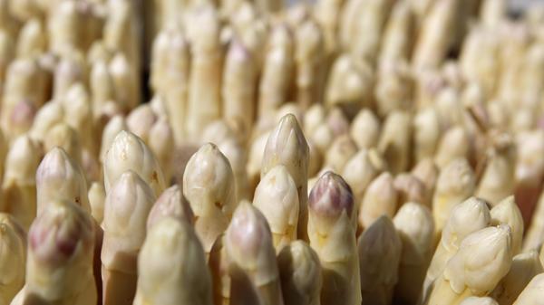 Spargel ist ausgesprochen gesund. Er besteht zu 93 Prozent aus Wasser, zu etwa zwei Prozent aus Proteinen, etwa vier Prozent sind Kohlenhydrate und nur 0,2 Prozent sind Fette. Spargel hat somit nur 150 Kalorien pro Kilogramm.