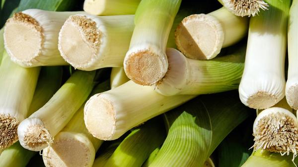 Lauch ist eine sehr gute Vitamin-C-Quelle, enthält Folsäure, reichlich Ballaststoffe und mehr Eiweiß als Zwiebeln.