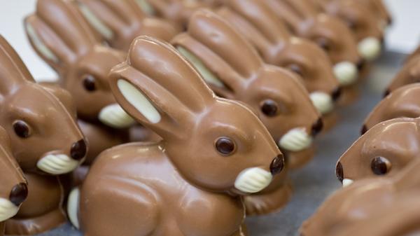 Der enthaltene Stoff Theobromin ist für Vierbeiner giftig. Vor allem bei Welpen und kleinen Hunderassen können bereits geringe Mengen lebensgefährlich werden.