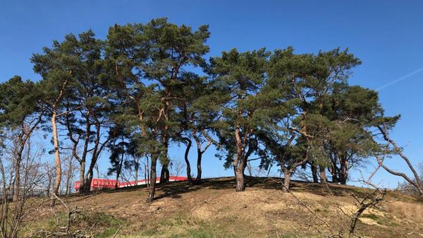 Hinter der Eiszeitdüne lugt ein Baumarkt hervor - das gibt es nur in Berlin Wedding. Mehr persönliche Lieblingsorte von unserem Berlin-Korrespondent Harald Baumer.