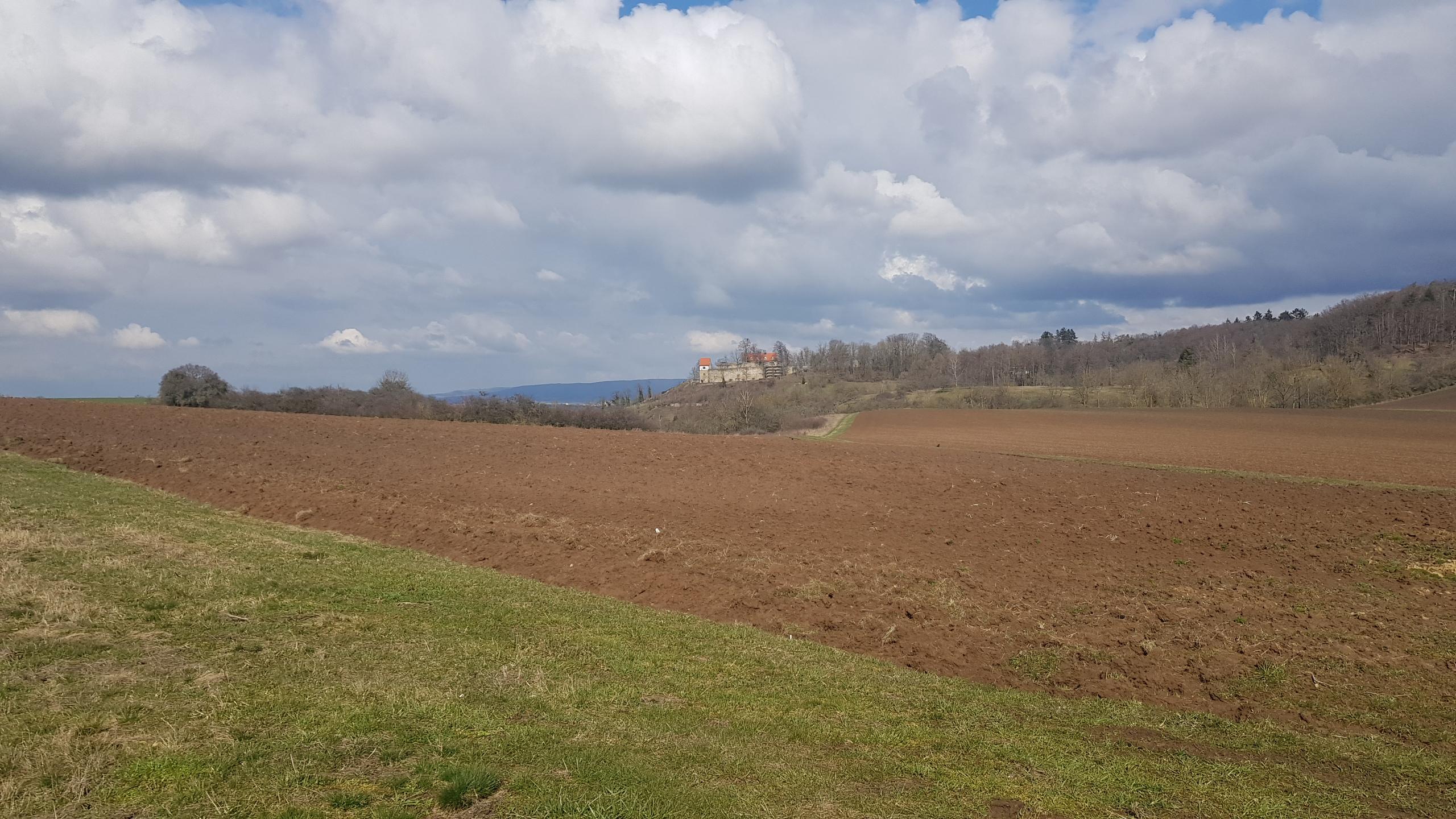 Spaziergang durch Königsberg