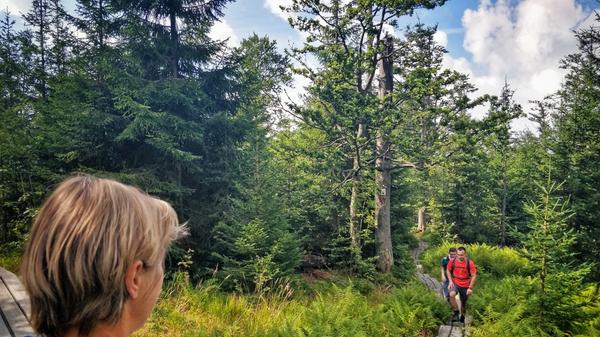 Wandern abseits der Pfade ist im Nationalpark untersagt, die Tourenwege sind gut ausgeschildert und leicht zu begehen.