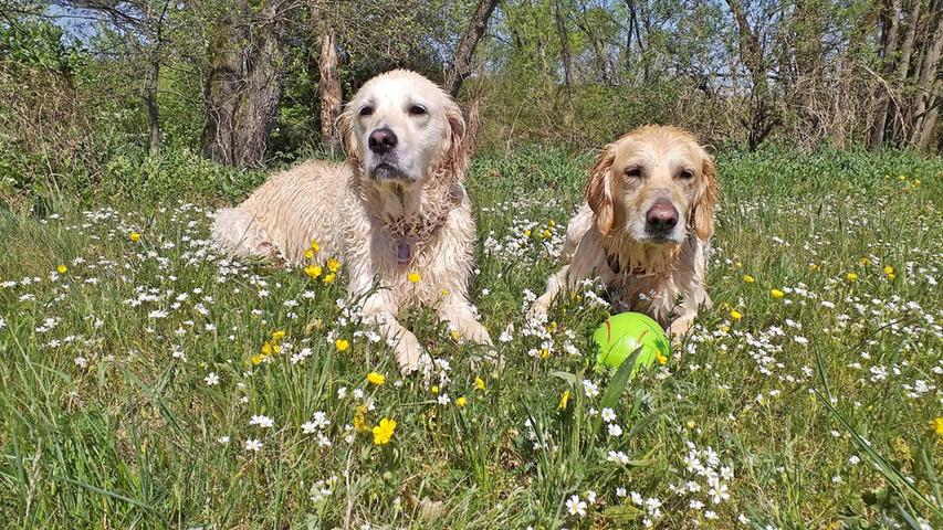 Ronja und Leni ruhen sich vom Ballspielen erstmal aus und genießen die warmen Sonnenstrahlen.