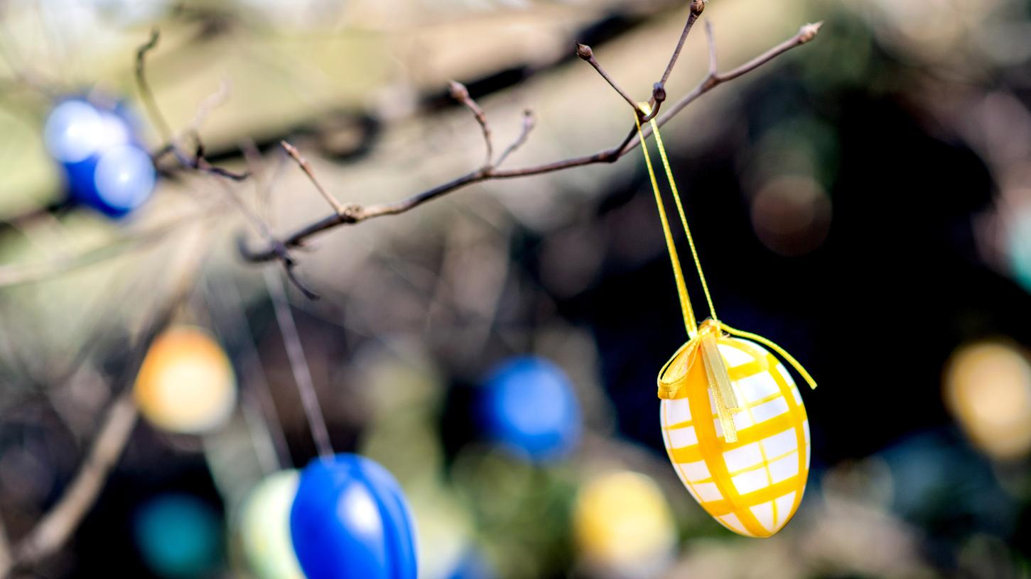 Bunte Ostereier hängen an einem Baum (Symbolbild). 