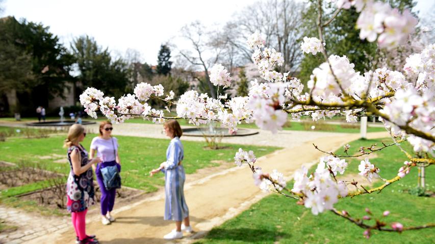 Fürth in Frühlingslaune: So schön blüht es im Stadtpark
