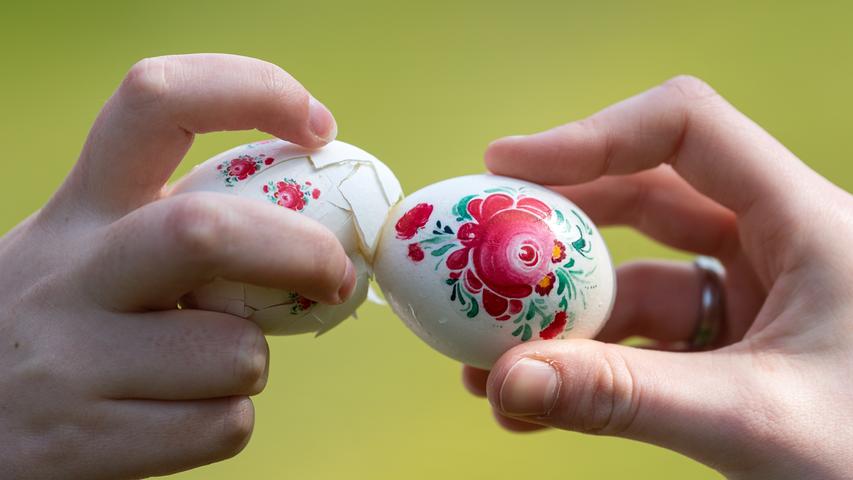 Zwei Hände stoßen mit ostfriesischen Rosen bemalten Eiern gegeneinander. Beim ostfriesischen "Hicken-Bicken" werden Ostereier aneinander geschlagen. Gewonnen hat derjenige, dessen Ei zuletzt zerbricht.