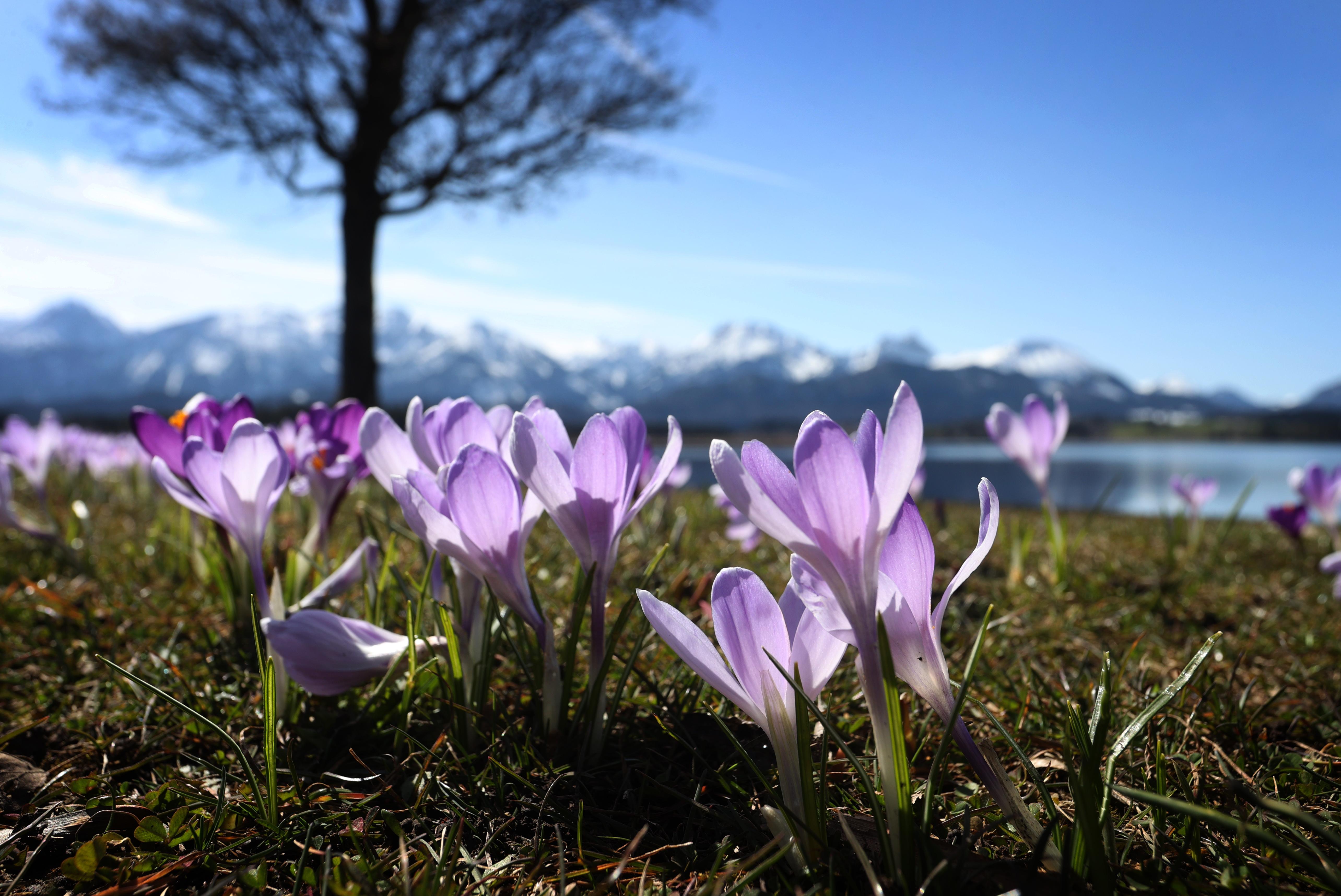 Warum Sind Wir Im Fruhjahr Immer Wieder So Mude Nurnberg Nordbayern