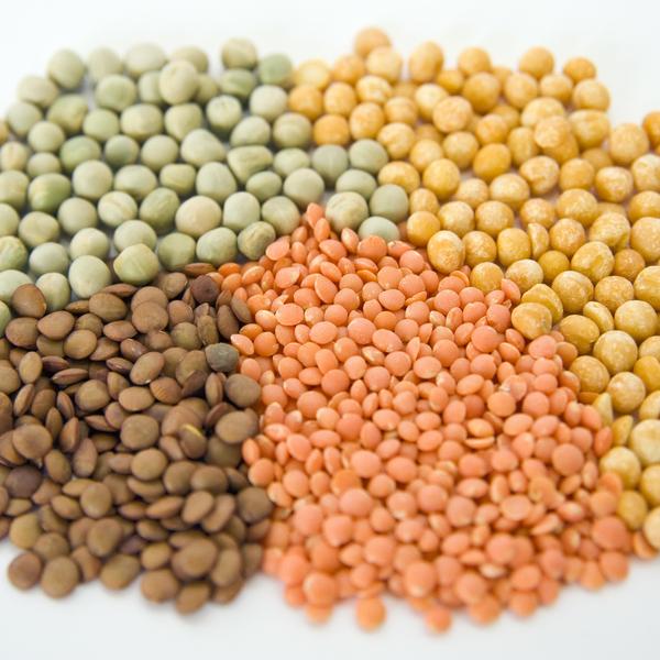 weitere spannende Themen: