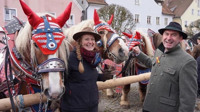 Mehr als 100 Pferde und Gespanne werden jedes Jahr Anfang Februar in Berching (Landkreis Neumarkt) aufgetrieben und zur Schau gestellt. Im Februar 2020 war auch Bayerns Wirtschaftsminister am Start und hatte sichtlich Spaß.