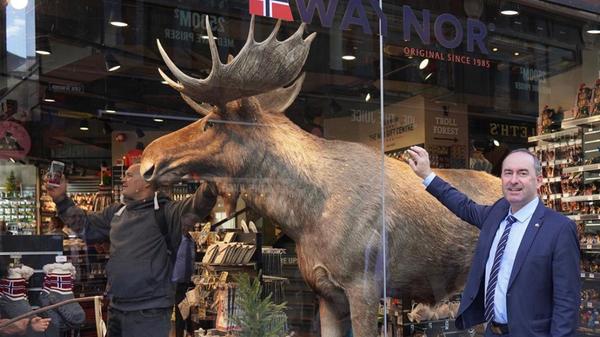 Bayerns Wirtschaftsminister leitete im September 2019 eine rund 40-köpfige Delegation nach Skandinavien mit dem Themenschwerpunkt Digitalwirtschaft. In Norwegen entstand diese Momentaufnahme mit einem Schaufenster-Elch. Nicht nur Aiwanger war in diesem Moment begeistert und wollte ein Bild, sondern auch ein Gast im Geschäft. Ob der Mann im Laden geahnt hat, wer da auf der anderen Seite des Elchs steht?
