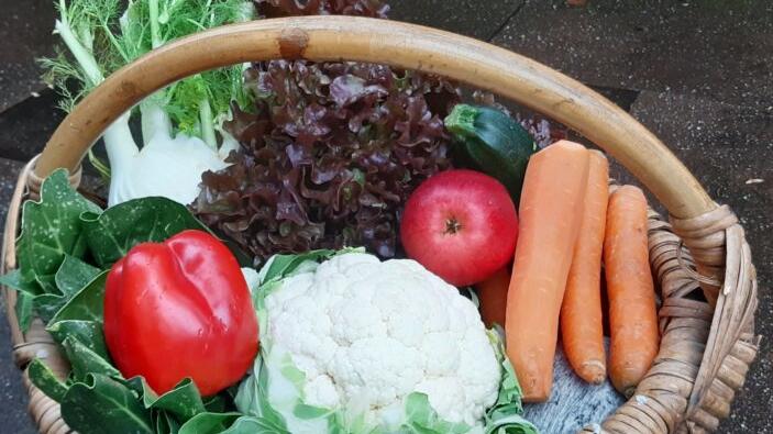 Regionale Produkte, zum Teil in Bio-Qualität, wird es auf dem Schwaiger Wochenmarkt geben. Regionale Produkte, zum Teil in Bio-Qualität, wird es auf dem Schwaiger Wochenmarkt geben.