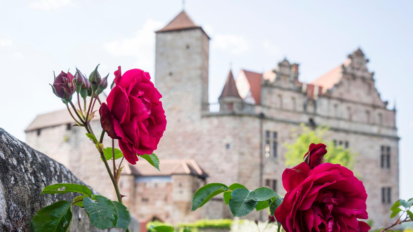 Cadolzburg bei Fürth, Burggarten, Rosen vor der Burgfassade Cadolzburg bei Fürth, Burggarten, Rosen vor der Burgfassade