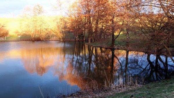 Weil die Fitnessstudios seit Monaten geschlossen sind, hat sich Jutta Sontheimer ein neues Ziel gesetzt. "5000 Schritte täglich - am Wochenende gerne mehr - genug für meine 73 Jahre alten Knochen", schreibt sie. "Den Vorsatz habe ich inzwischen modifiziert in 5000 Schritte täglich im Durchschnitt", der Spaß kommt dabei nicht zu kurz: Meistens ist es eine Freude für Leib und Seele. Täglich neue Ziele und Entdeckungen mit wunderbaren Eindrücken wie zum Beispiel der Sklavensee bei Kalchreuth in zauberhaftem Abendlicht."