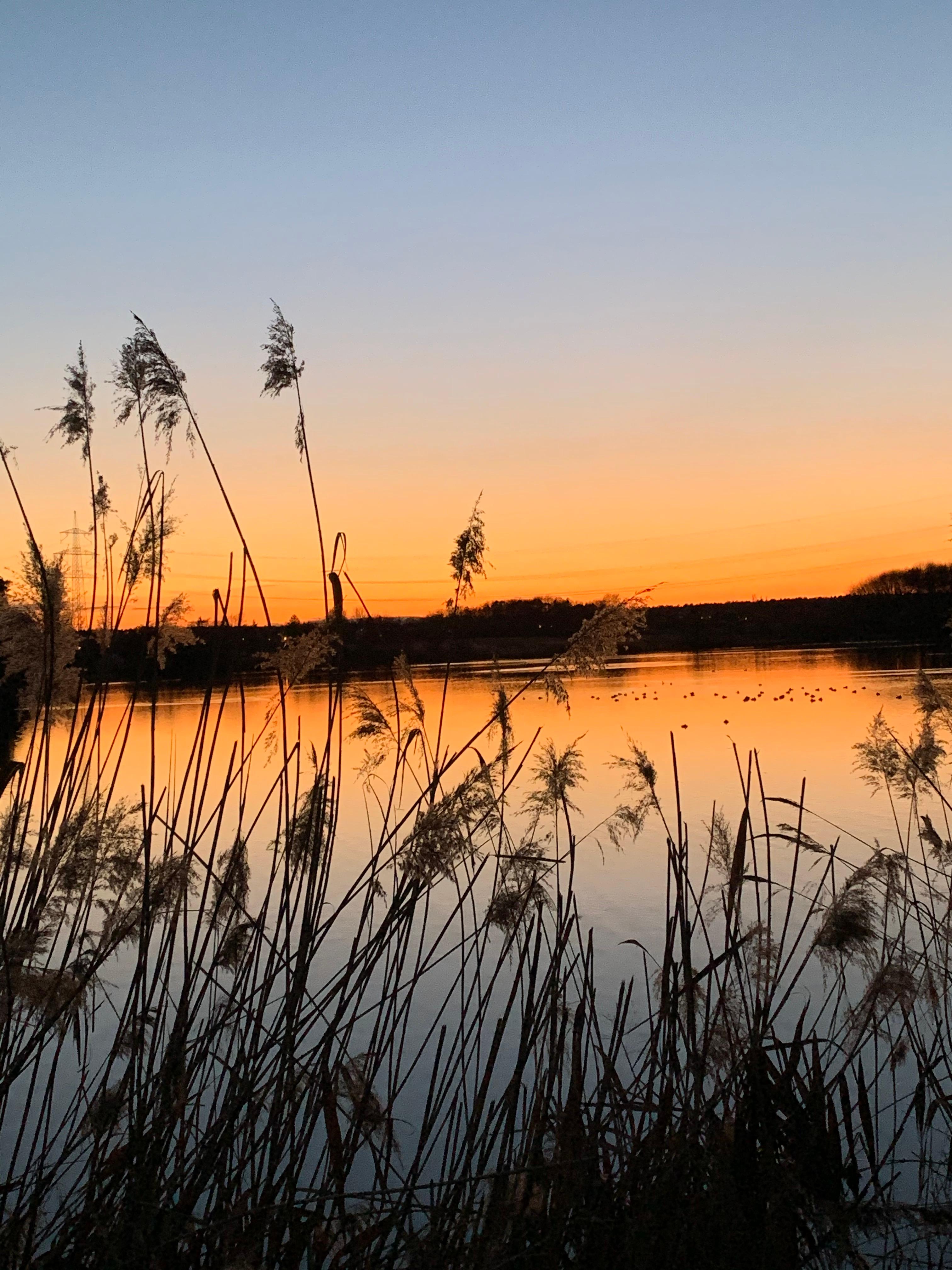 Den Aufruf, uns den schönsten Sonnenuntergang der Laufrunde zu schicken, hat Tatjana Rojt wörtlich genommen. Hier war sie am Büchenbacher Weiher unterwegs und hat die Abendstimmung eingefangen.