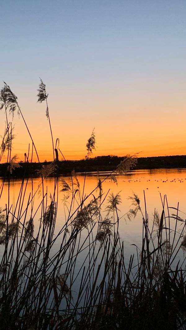 Den Aufruf, uns den schönsten Sonnenuntergang der Laufrunde zu schicken, hat Tatjana Rojt wörtlich genommen. Hier war sie am Büchenbacher Weiher unterwegs und hat die Abendstimmung eingefangen.